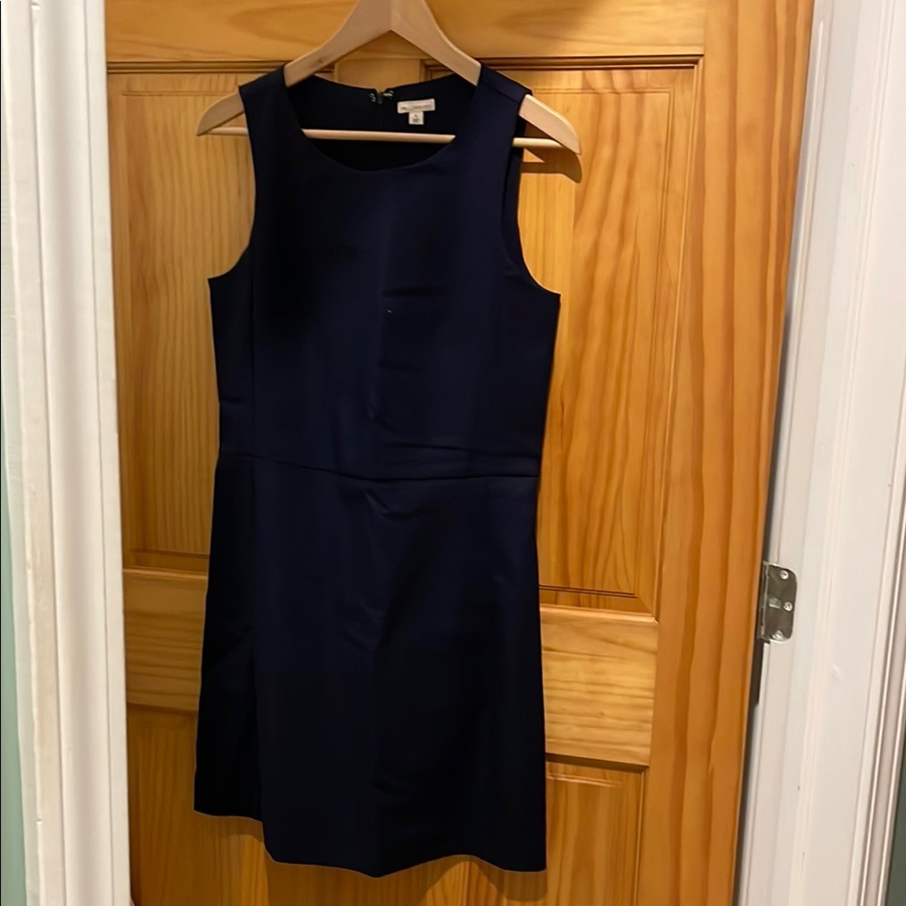 Gap Navy Sleeveless Dress